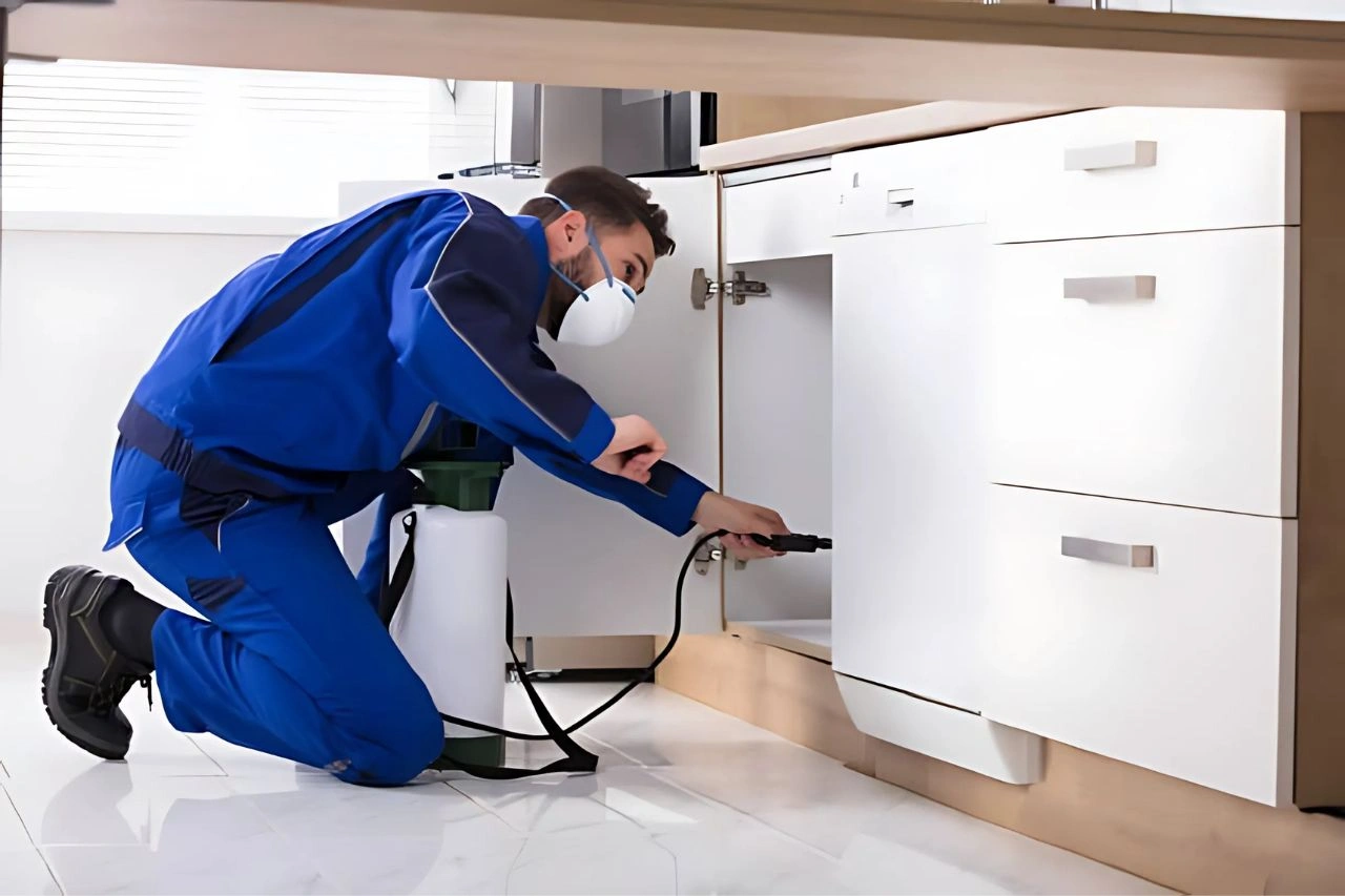 Residential Pest Control